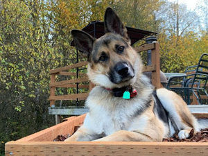 Meet your Posher, Tammy